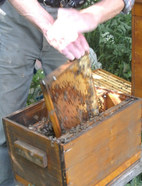Zellenbrechen